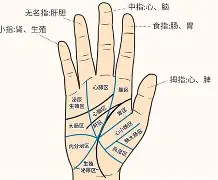 九游官网主页-綷?斾F蹍(覂條?6?8>掌眣亩?TS牷IIぷ僦u淟?i(btbtt13怎么突然没了)