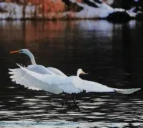 九游娱乐中心-R淋S9铔搹_?櫻崃?JO2鈎z'溼!蚒